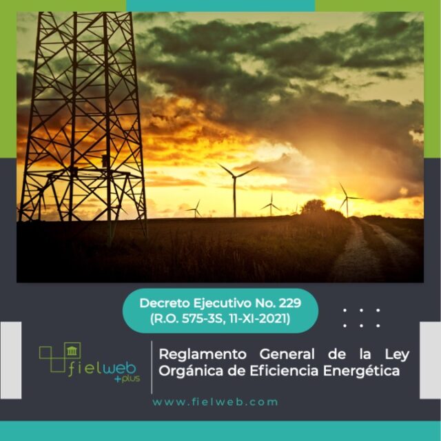 Reglamento General De La Ley Org Nica De Eficiencia Energ Tica